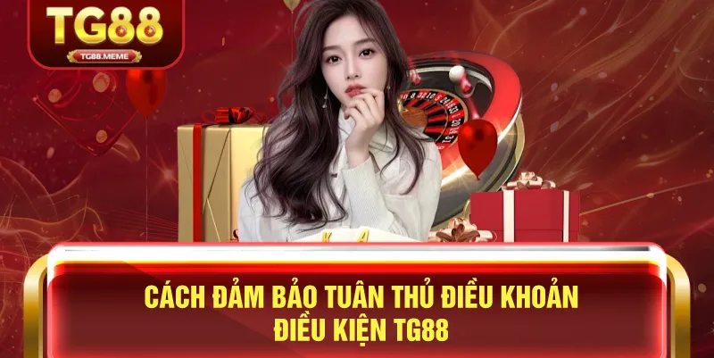 Cách Đảm Bảo Tuân Thủ Điều Khoản Điều Kiện TG88